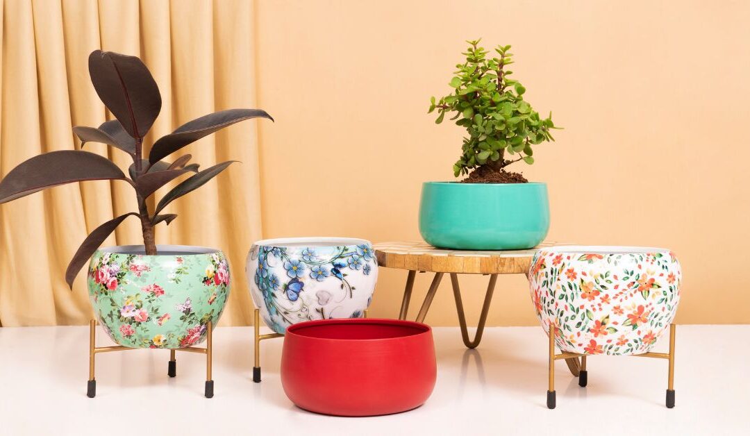 The Ultimate Guide to Choosing Planters & Vases for a Stunning Home Makeover